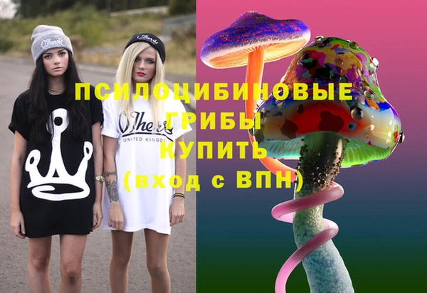герыч Алексин