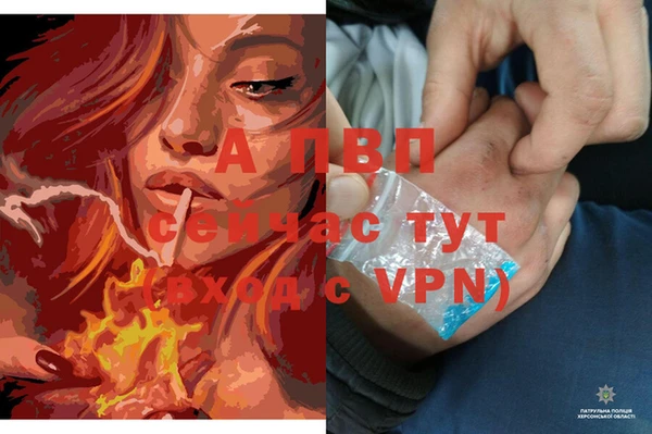 герыч Алексин