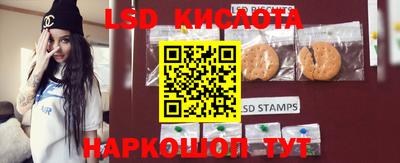 дживик Кандалакша