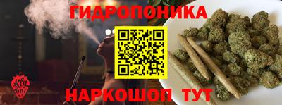 дживик Кандалакша