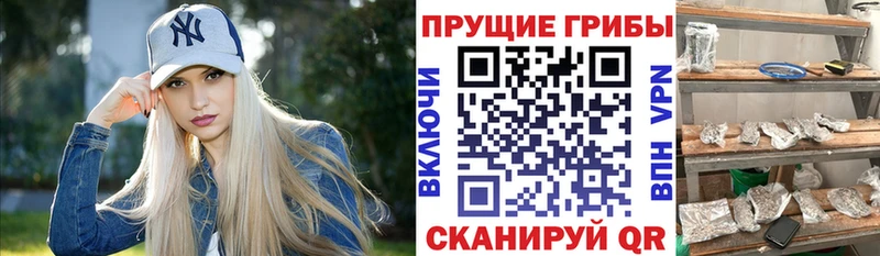 Псилоцибиновые грибы Cubensis  Благодарный 
