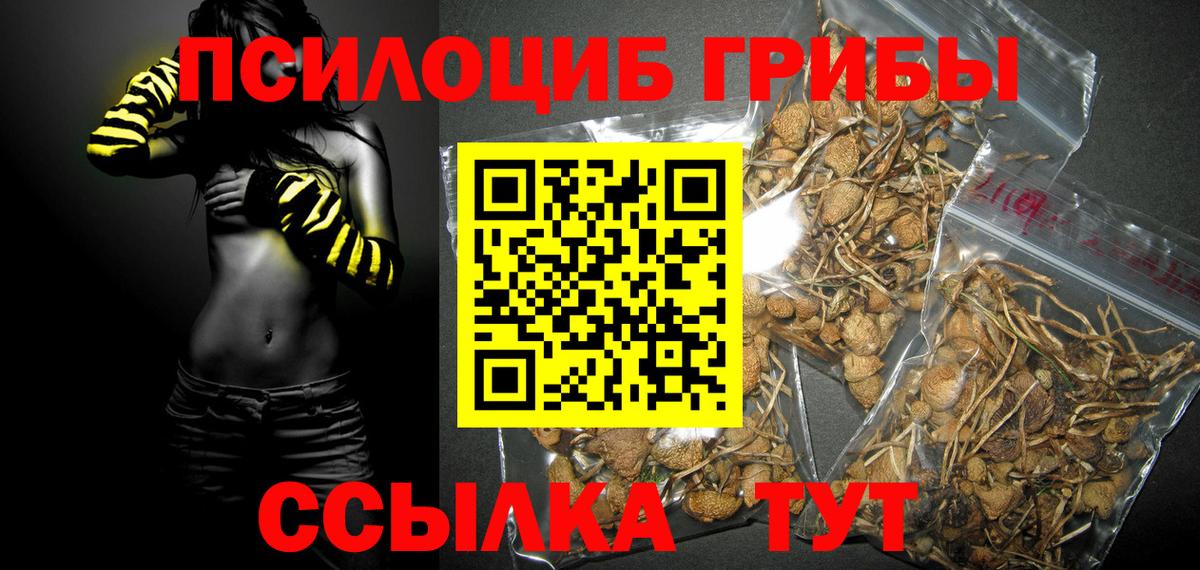Галлюциногенные грибы MAGIC MUSHROOMS Благодарный