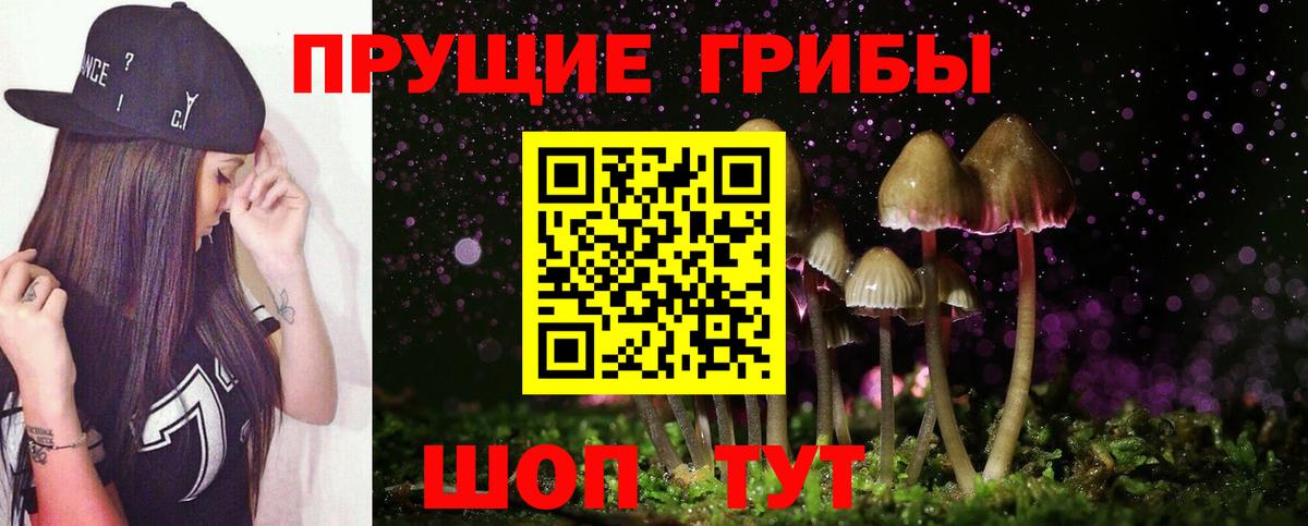Благодарный  Галлюциногенные грибы Cubensis  Вход с VPN 