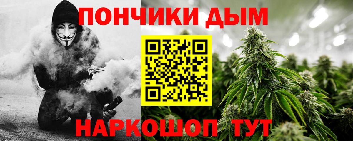 Каннабис индика  Бошки Шишки марихуана  Бошки марихуана тримм  Вход с VPN  Благодарный  МАРИХУАНА марихуана 